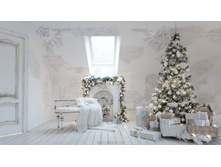 �������� Ballet