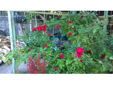 WP 20170716 18 45 49 Pro.jpg