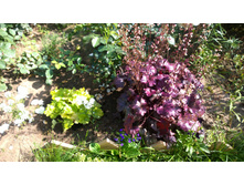 WP 20170820 09 45 18 Pro  highres.jpg