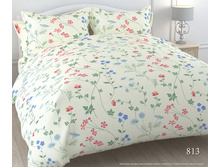 ���� 2 813.jpg