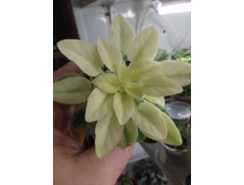 �-�������