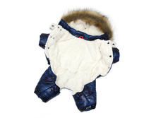 10925 ���������� 'Lim-Strip' ����� 1.jpg