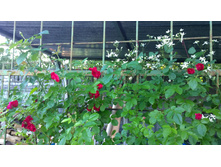 WP 20170716 18 52 14 Pro.jpg