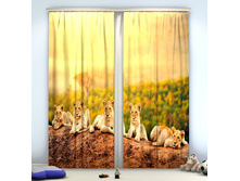 ��������� ������� 02618-��-��-001�� ��, 27 ��.jpg