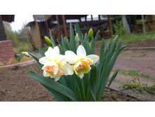 WP 20170508 11 39 33 Pro.jpg