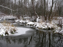 IMG 8020.JPG