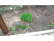 WP 20170502 18 42 35 Pro  highres.jpg