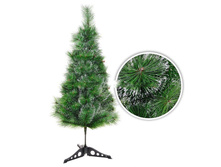 ����� 90��., 55 �����, � �������� �����, � ������� ���. 102062� ���� 550 ���.