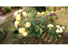 WP 20170914 09 57 36 Pro.jpg