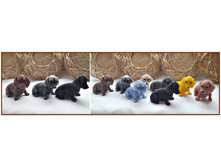 ����� ����������� 45 ���