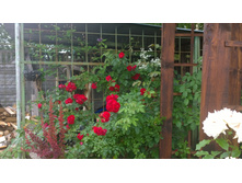 WP 20170730 10 42 23 Pro.jpg