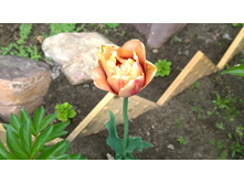 WP 20170527 09 45 56 Pro.jpg