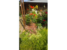 WP 20170820 09 44 11 Pro  highres.jpg