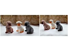 ����� �������� �������, 40 ���