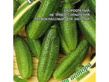 ������ ����������� F1 25,00
