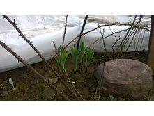 WP 20170409 11 54 17 Pro.jpg