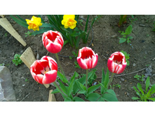 WP 20170527 09 49 02 Pro.jpg