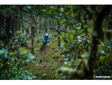 23116927 10213440463542341 6493435600405715320 o.jpg