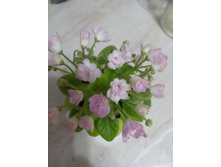 ������ �����������. ����������� �.����������