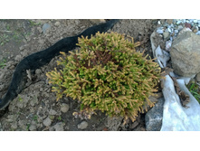 WP 20170514 16 33 35 Pro.jpg