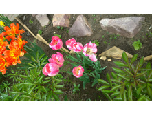 WP 20170527 09 46 23 Pro  highres.jpg