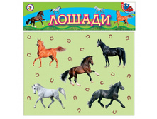 ����� ������ 2284 ������ - 113,75 ���