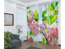 08404 ��������� ����� �������� ����.jpg