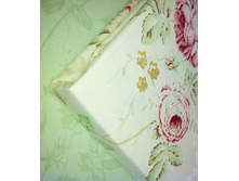 Ameli ��̣���, ��������