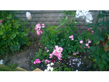 WP 20170728 20 27 44 Pro.jpg