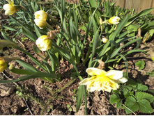 IMG 20170501 151938.jpg