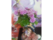 Sassy Sister (S. Sorano)