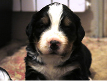 ���.���� 007.JPG