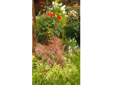 WP 20170820 09 44 11 Pro.jpg