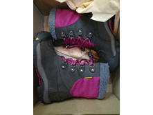 ������ ba**sin wp ke**en �������� ���������� 200�� ������ 22,5��