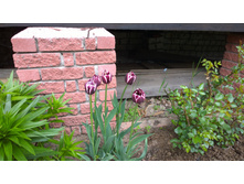 WP 20170527 09 45 03 Pro  highres - �����.jpg