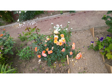 WP 20170721 09 17 09 Pro  highres.jpg