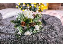 ������� ���������� ���