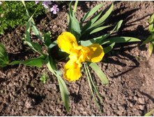 ���� ������