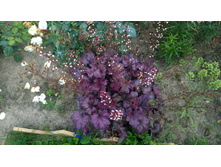 WP 20170811 16 49 33 Pro.jpg