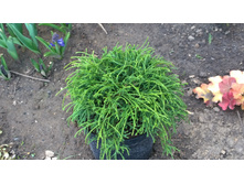 WP 20170514 16 32 37 Pro.jpg