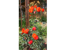 WP 20170820 09 43 10 Pro.jpg