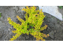 WP 20170521 16 17 10 Pro.jpg