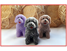 У���, 75 ���