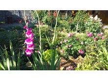 WP 20170910 09 05 35 Pro.jpg