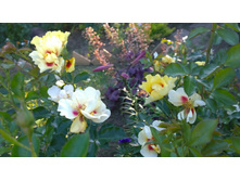 WP 20170716 18 41 05 Pro.jpg