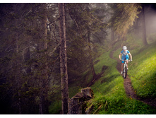 13308472834 4c5704a615 o.jpg