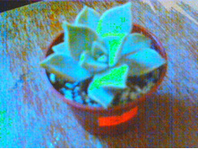 �������������� ������������