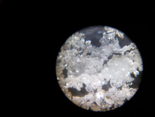 ������������ �����