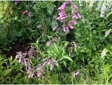 ��������� ������