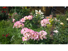 WP 20170820 09 50 08 Pro.jpg